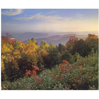 Deciduous forest in autumn, Blue Ridge Mountains from Doughton Park, North Carolina-Paper Art-24"x20.26"