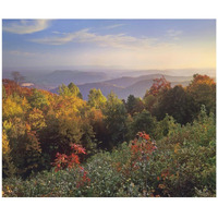 Deciduous forest in autumn, Blue Ridge Mountains from Doughton Park, North Carolina-Paper Art-42"x35.2"