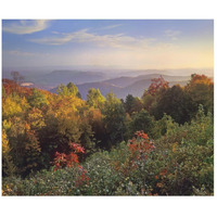 Deciduous forest in autumn, Blue Ridge Mountains from Doughton Park, North Carolina-Paper Art-46"x38.52"