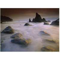 Sea stack and rocks along shoreline at Ruby Beach, Olympic National Park, Washington-Paper Art-50"x38"