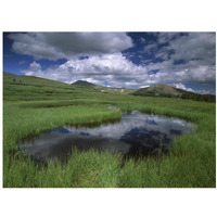 Cumulus clouds reflected in pond at Guanella Pass, Arapaho National Forest, Colorado-Paper Art-18"x14"