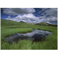 Cumulus clouds reflected in pond at Guanella Pass, Arapaho National Forest, Colorado-Paper Art-42"x32"