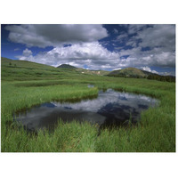 Cumulus clouds reflected in pond at Guanella Pass, Arapaho National Forest, Colorado-Paper Art-50"x38"