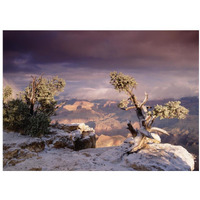 South Rim of Grand Canyon with a dusting of snow, Grand Canyon National Park, Arizona-Paper Art-18"x14"