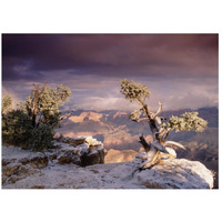 South Rim of Grand Canyon with a dusting of snow, Grand Canyon National Park, Arizona-Paper Art-26"x20"