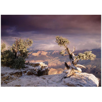 South Rim of Grand Canyon with a dusting of snow, Grand Canyon National Park, Arizona-Paper Art-42&quotx32"