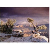 South Rim of Grand Canyon with a dusting of snow, Grand Canyon National Park, Arizona-Paper Art-50"x38"