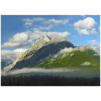 Mt Kidd with slopes covered in coniferous forest, Kananaskis Country, Alberta, Canada-Paper Art-42"x32"