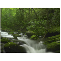 Roaring Fork River flowing through the Great Smoky Mountains National Park, Tennessee-Paper Art-26"x20"