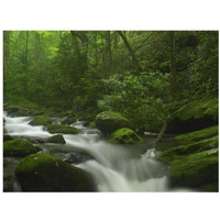 Roaring Fork River flowing through the Great Smoky Mountains National Park, Tennessee-Paper Art-34"x26"