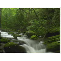 Roaring Fork River flowing through the Great Smoky Mountains National Park, Tennessee-Paper Art-50"x38"