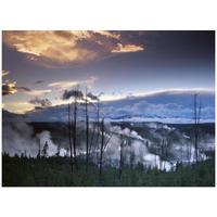 Norris Geyser basin with steam plumes from geysers, Yellowstone National Park, Wyoming-Paper Art-42"x32"