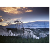 Norris Geyser basin with steam plumes from geysers, Yellowstone National Park, Wyoming-Paper Art-50"x38"