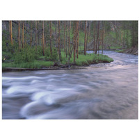 Gibbon River rapids popular river for trout fishing, Yellowstone National Park, Wyoming-Paper Art-18"x14"