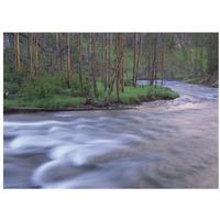 Gibbon River rapids popular river for trout fishing, Yellowstone National Park, Wyoming-Paper Art-34"x26"