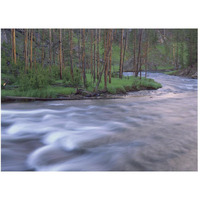 Gibbon River rapids popular river for trout fishing, Yellowstone National Park, Wyoming-Paper Art-50"x38"