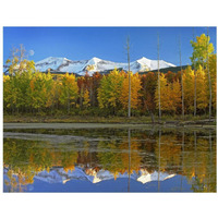 Full moon over East Beckwith Mountain rising above fall colored Aspen forests, Colorado-Paper Art-18"x14"