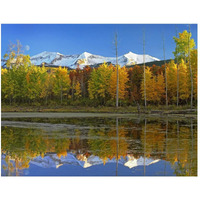 Full moon over East Beckwith Mountain rising above fall colored Aspen forests, Colorado-Paper Art-50"x38"