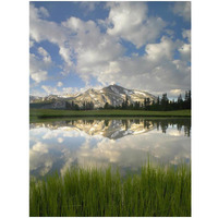 Mammoth Peak and scattered clouds reflected in lake, Yosemite National Park, California-Paper Art-14&quotx18"