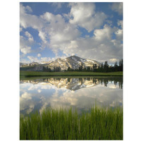 Mammoth Peak and scattered clouds reflected in lake, Yosemite National Park, California-Paper Art-26"x34"