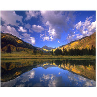 Haystack Mountain reflected in beaver pond, Maroon Bells, Snowmass Wilderness, Colorado-Paper Art-26"x22"