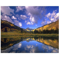 Haystack Mountain reflected in beaver pond, Maroon Bells, Snowmass Wilderness, Colorado-Paper Art-37"x30"