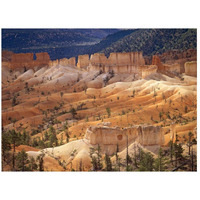 Landscape of eroded formations called hoodoos and fins, Bryce Canyon National Park, Utah-Paper Art-26"x20"