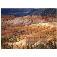 Landscape of eroded formations called hoodoos and fins, Bryce Canyon National Park, Utah-Paper Art-34"x26"