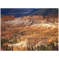 Landscape of eroded formations called hoodoos and fins, Bryce Canyon National Park, Utah-Paper Art-42"x32"