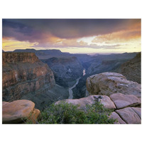 Toroweap Overlook with a view of the Colorado River, Grand Canyon National Park, Arizona-Paper Art-34"x26"