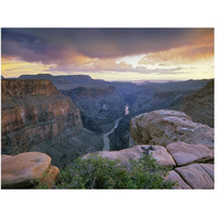 Toroweap Overlook with a view of the Colorado River, Grand Canyon National Park, Arizona-Paper Art-50"x38"