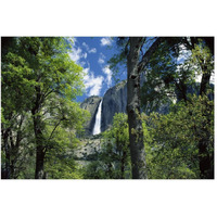 Bridal Veil Falls tumble 620 feet to the valley floor, Yosemite National Park, California-Paper Art-50"x34"