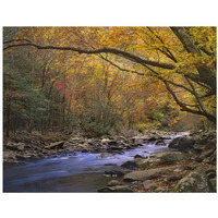 Little River flowing through autumn forest, Great Smoky Mountains National Park, Tennessee-Paper Art-18&quotx14"