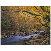 Little River flowing through autumn forest, Great Smoky Mountains National Park, Tennessee-Paper Art-42"x32"