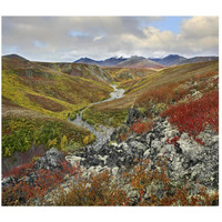 River flowing through tundra, Ogilvie Mountains, Tombstone Territorial Park, Yukon, Canada-Paper Art-46"x40.72"