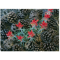 Indian Paintbrush surrounded by pine cones, South Rim, Grand Canyon National Park, Arizona-Paper Art-26"x20"