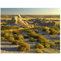 Coyote Bush and eroded features bordering grasslands, Badlands National Park, South Dakota-Paper Art-42"x32"