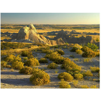 Coyote Bush and eroded features bordering grasslands, Badlands National Park, South Dakota-Paper Art-50"x38"