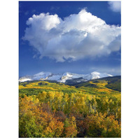 East Beckwith Mountain flanked by fall colored Aspen forests under cumulus clouds, Colorado-Paper Art-20&quotx26"