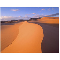 Wind ripples in sand dunes beneath sandstone cliffs, Coral Pink Sand Dunes State Park, Utah-Paper Art-26"x20"