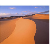 Wind ripples in sand dunes beneath sandstone cliffs, Coral Pink Sand Dunes State Park, Utah-Paper Art-50"x38"