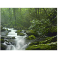 Roaring Fork River flowing through forest in Great Smoky Mountains National Park, Tennessee-Paper Art-26"x20"