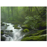 Roaring Fork River flowing through forest in Great Smoky Mountains National Park, Tennessee-Paper Art-34"x26"