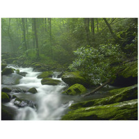 Roaring Fork River flowing through forest in Great Smoky Mountains National Park, Tennessee-Paper Art-42"x32"