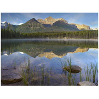 Bow Range and boreal forest reflected in Herbert Lake, Banff National Park, Alberta, Canada-Paper Art-42"x32"