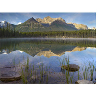 Bow Range and boreal forest reflected in Herbert Lake, Banff National Park, Alberta, Canada-Paper Art-50&quotx38"