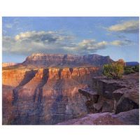 Sandstone cliffs and canyon seen from Toroweap Overlook, Grand Canyon National Park, Arizona-Paper Art-22&quotx18"