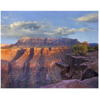 Sandstone cliffs and canyon seen from Toroweap Overlook, Grand Canyon National Park, Arizona-Paper Art-26"x22"