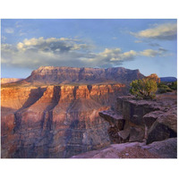 Sandstone cliffs and canyon seen from Toroweap Overlook, Grand Canyon National Park, Arizona-Paper Art-30"x24"