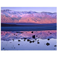 Panamint Range reflected in standing water at Badwater, Death Valley National Park, California-Paper Art-34"x26"